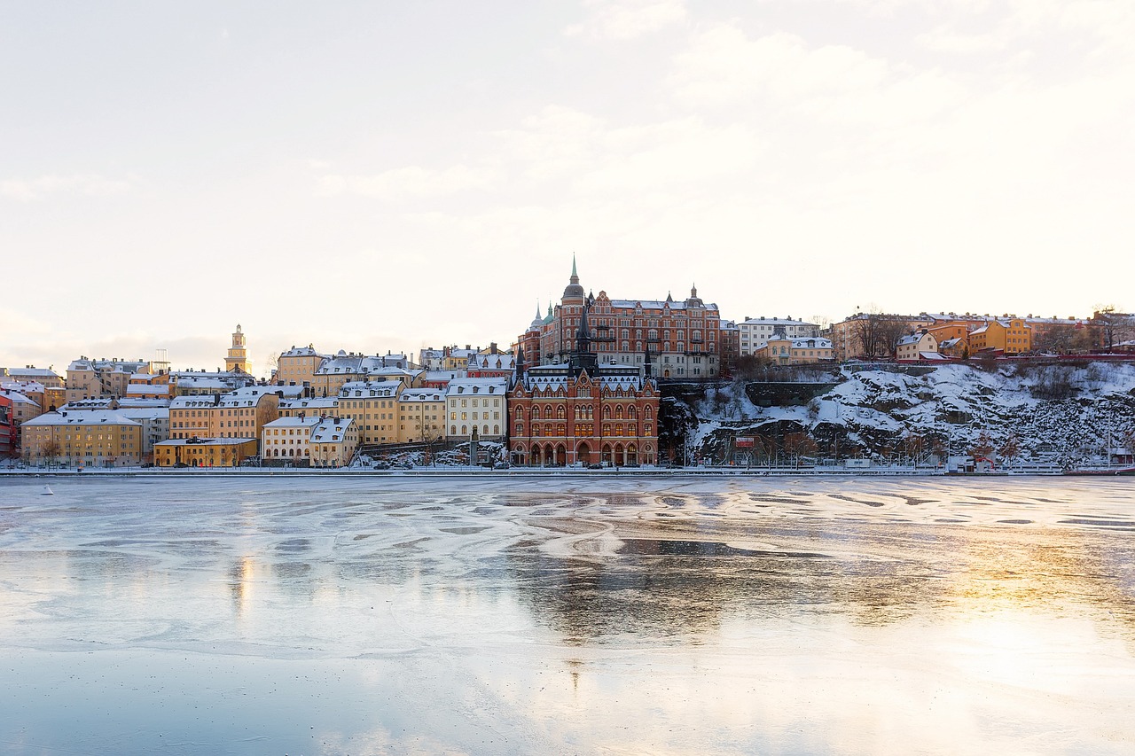 Att flytta tillbaka till Sverige efter flera år utomlands  